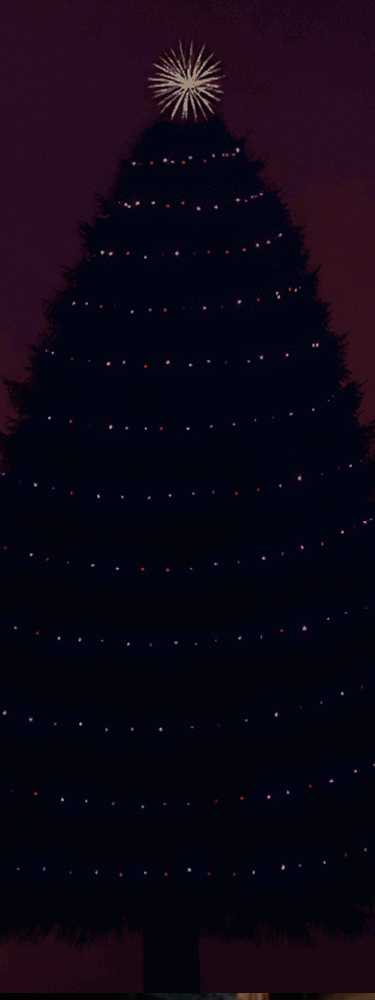 banner image